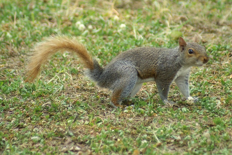 SONY DSC