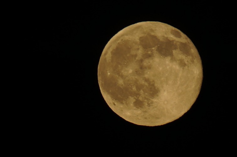 DSC01239a