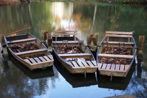 da Vinci Pond Boats