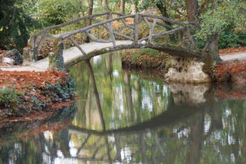 da Vinci Pond Bridge