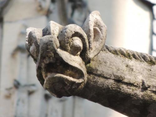 Rouen Gargoyle