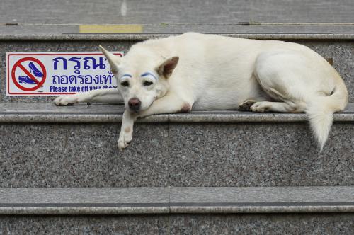 Temple Dog, Thailand