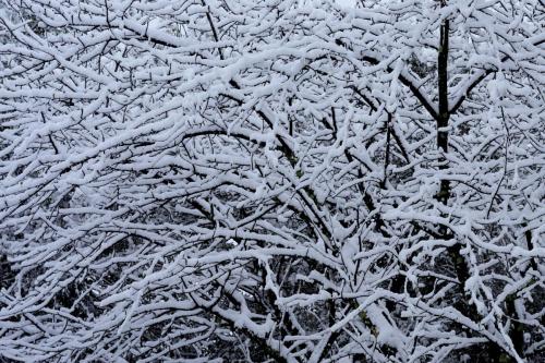 _DSC3161a