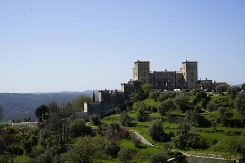 Chateau du Puy