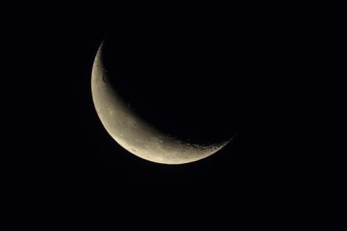 _RXX1424