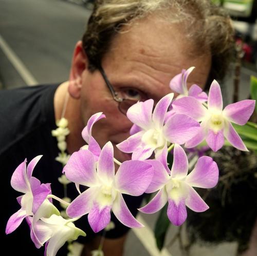 Shopping for the Shack