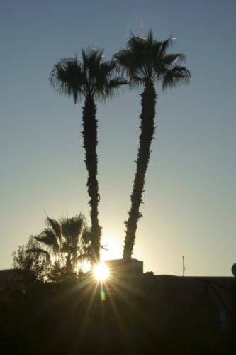 Marrakech Sunrise... and Sunset