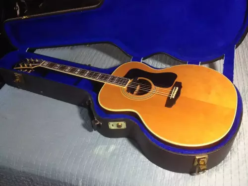 Guild F50